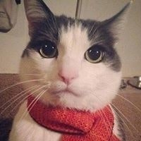 Marine Feuilleaubois