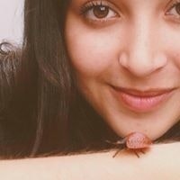 Carolina de Carvalho