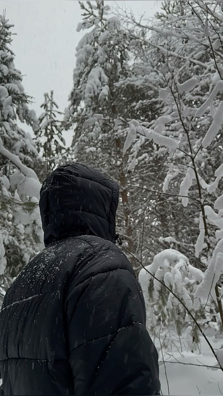 Alex | SaaS Builder 📈