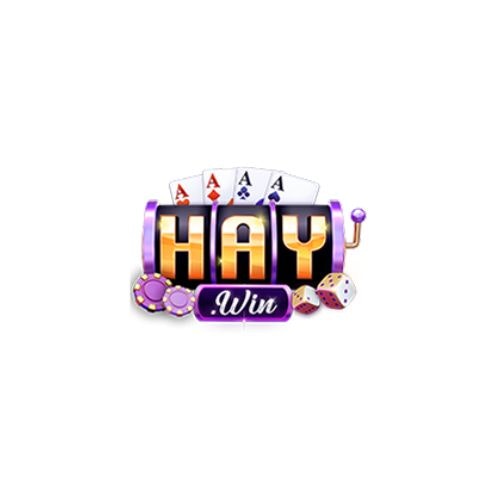 HAYWIN Services