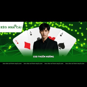 CEO Thiên Hoàng