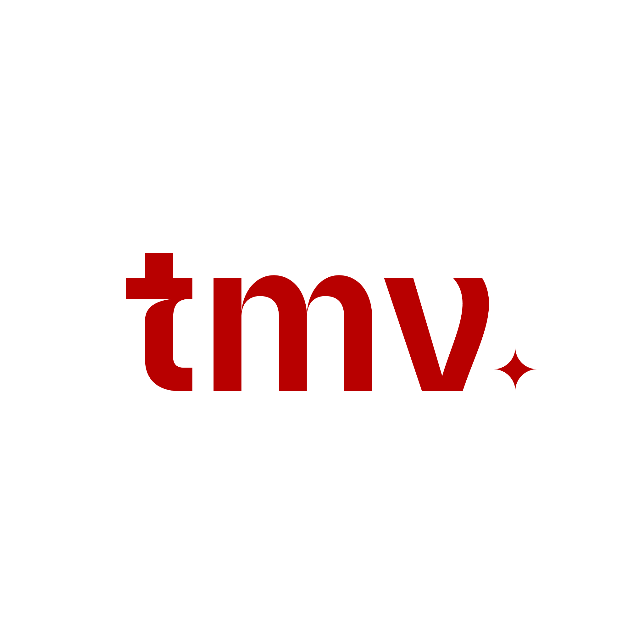 Track My Visibility