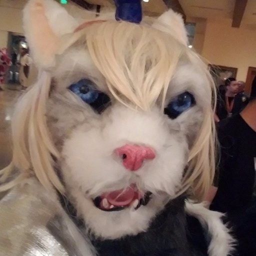 Rohan Kishibae@TIRED