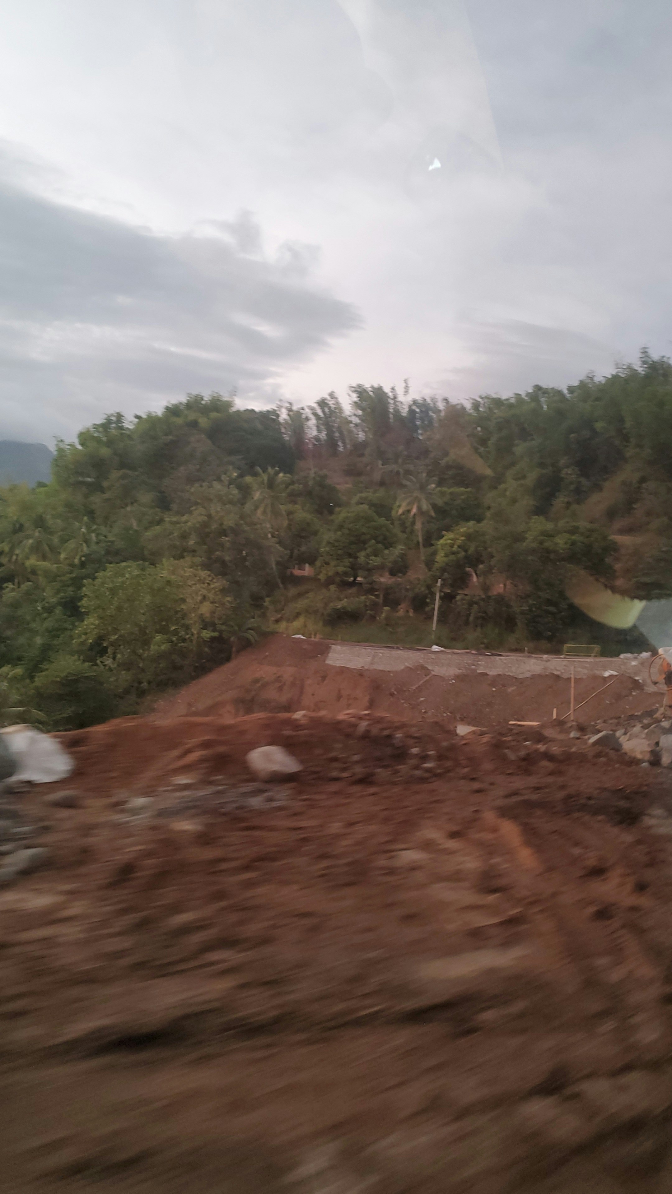 Julianne Ray Pamplona