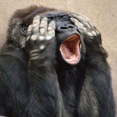 DN software consulting