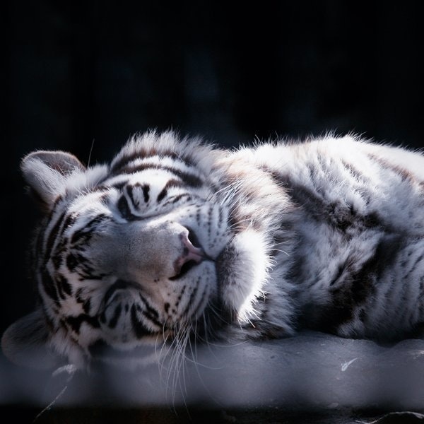 The Age of Knowledge