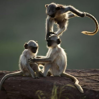 Jose Fulgencio Molina Garcia