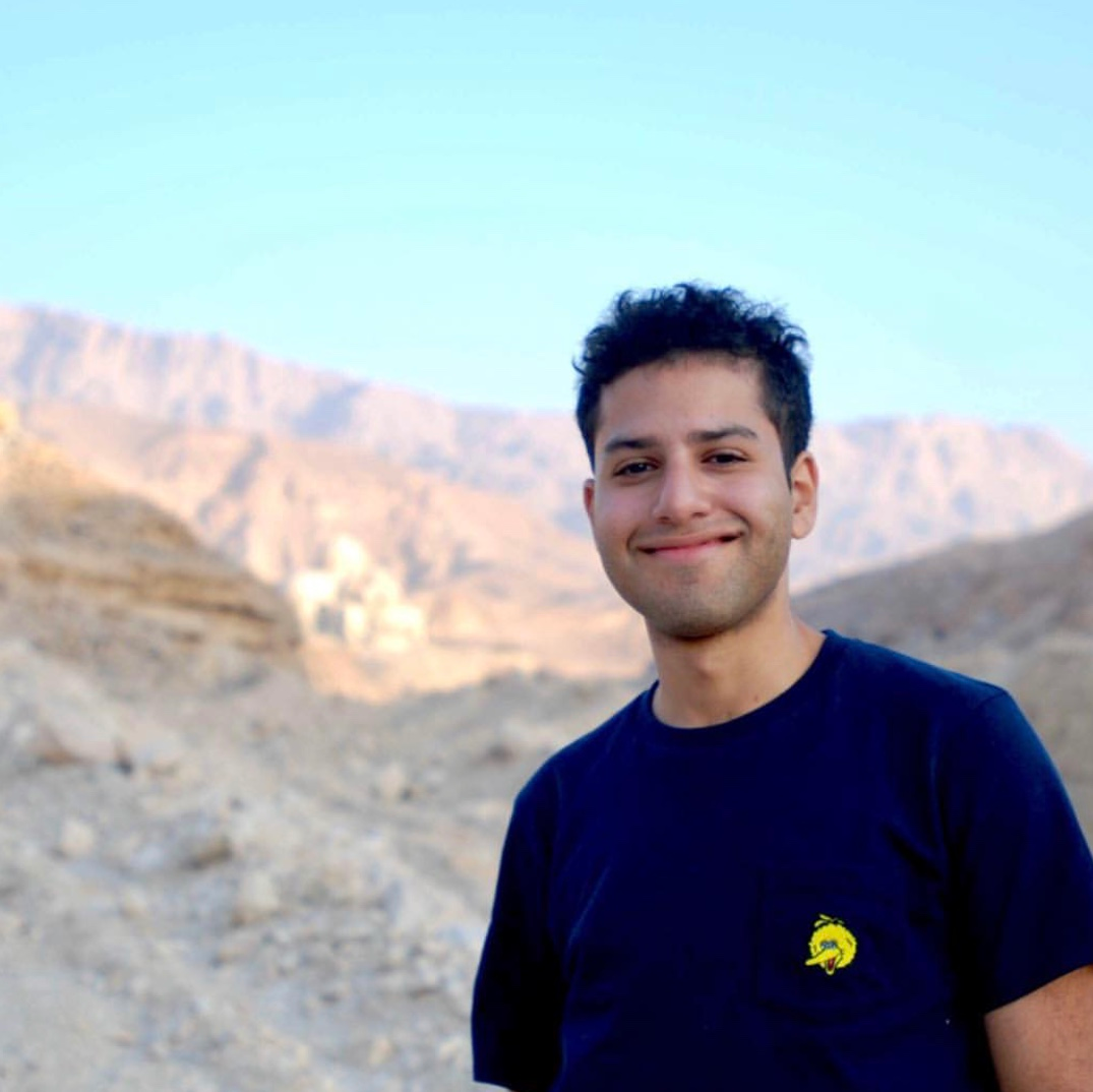 Hesham Mashhour