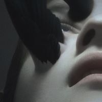 Трипы Акаций