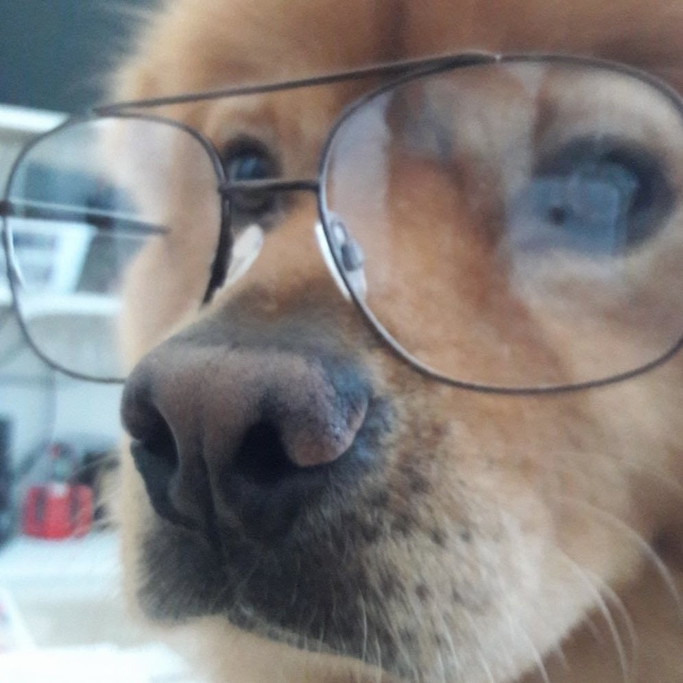 i love puppies  🐬