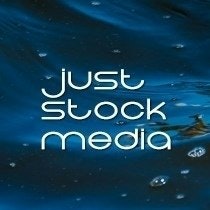 Just Stock Media