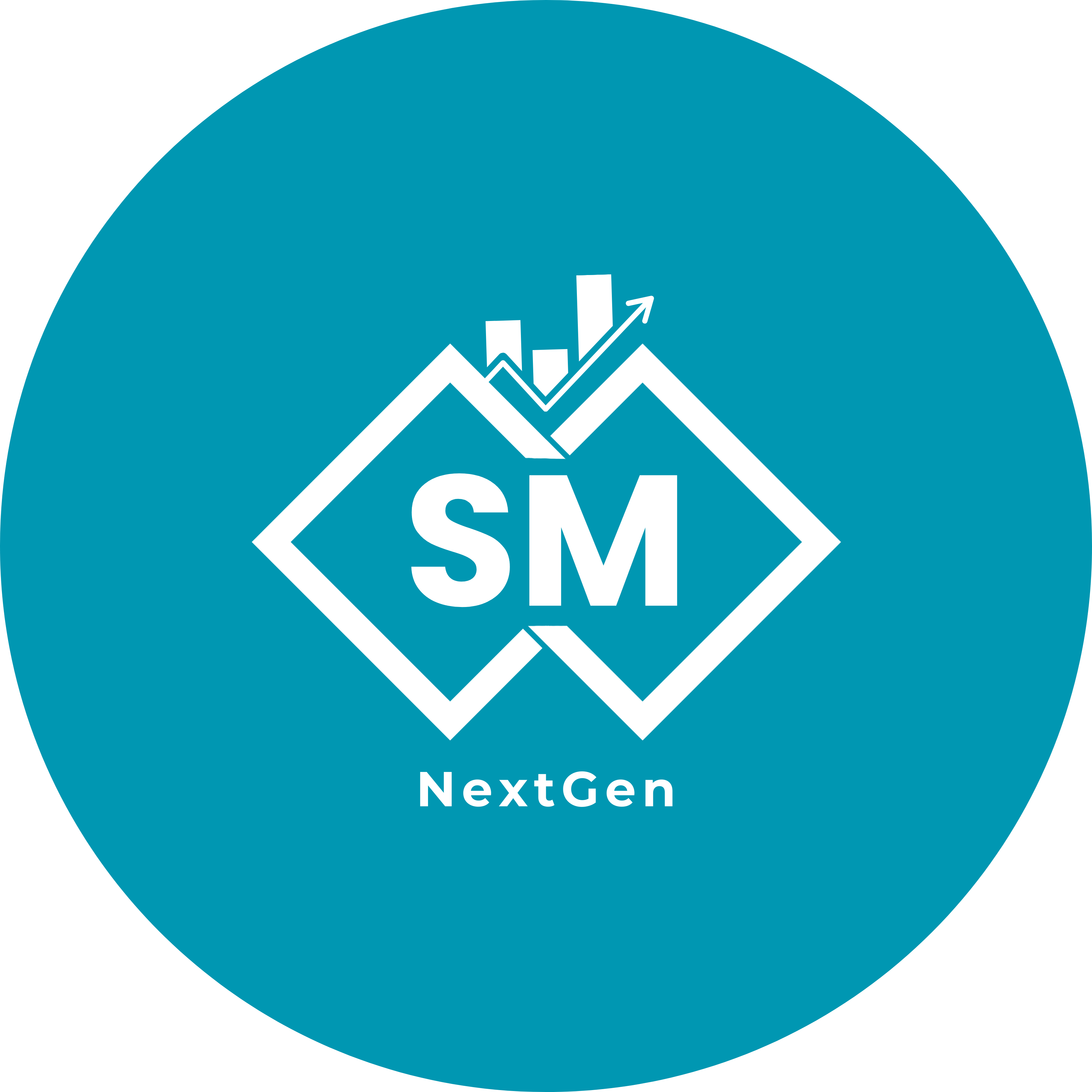 SM NextGen – Business Growth Solutions 🚀