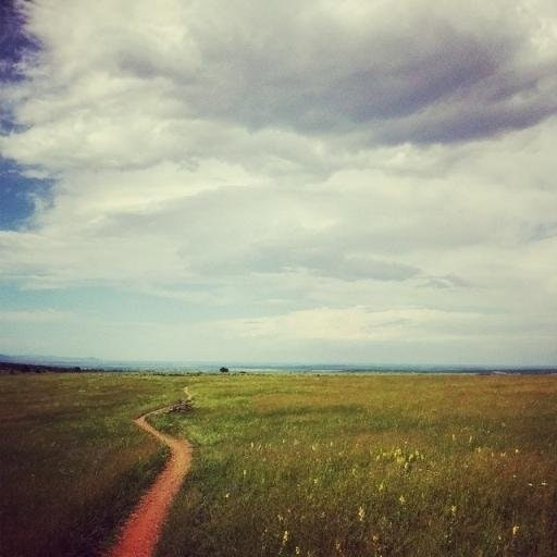 Jacob Kaufman-Osborn