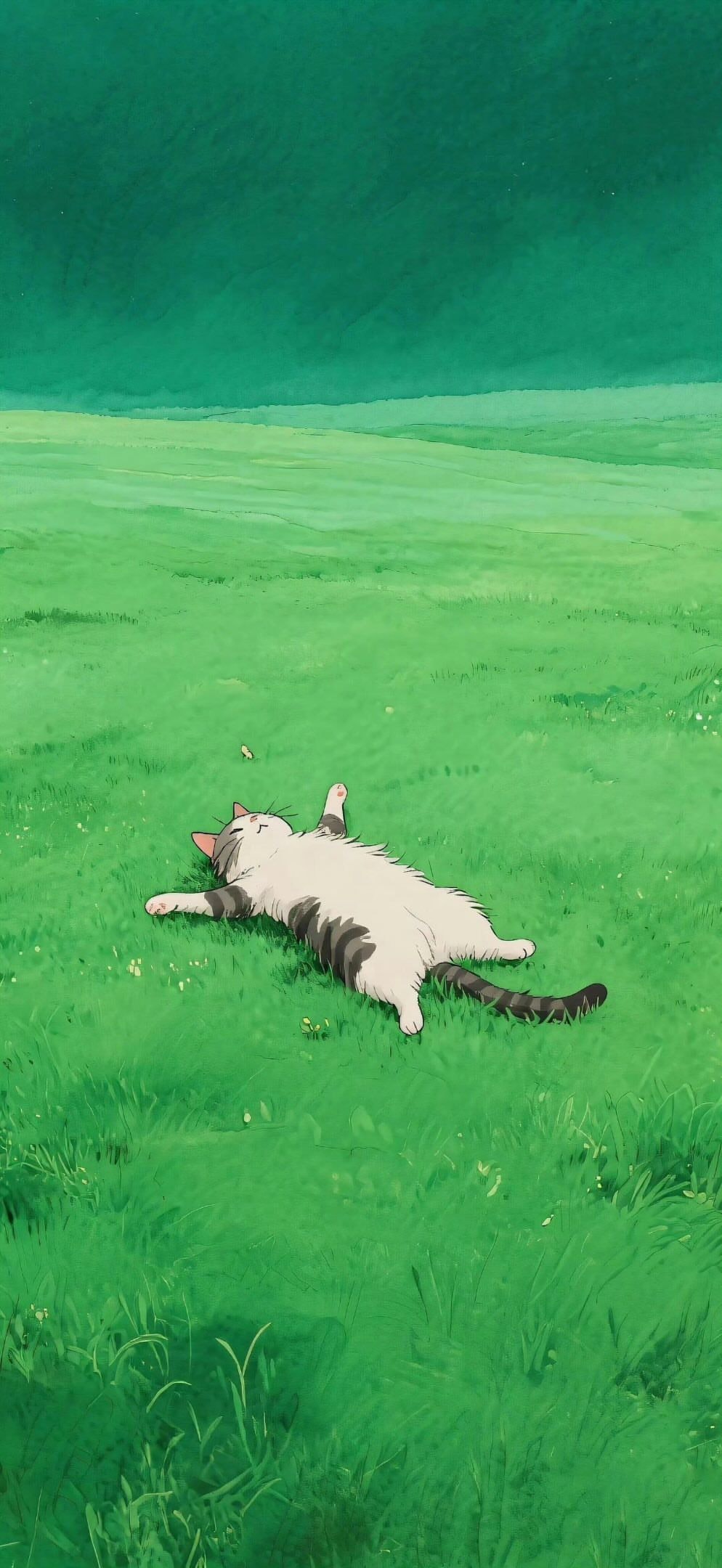 akki