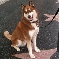 Samira Mahjoub Tapia