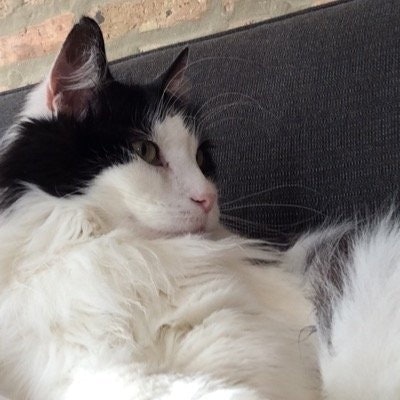 uncomfortabl.to_json