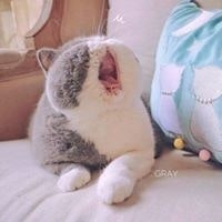 Truong Hoang Son Thao