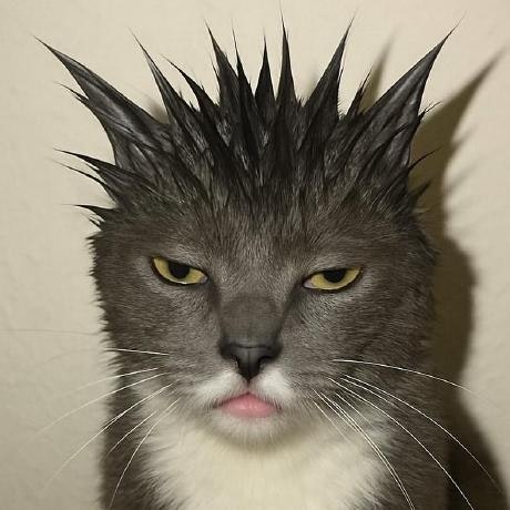 Konstantin Seliadtsou