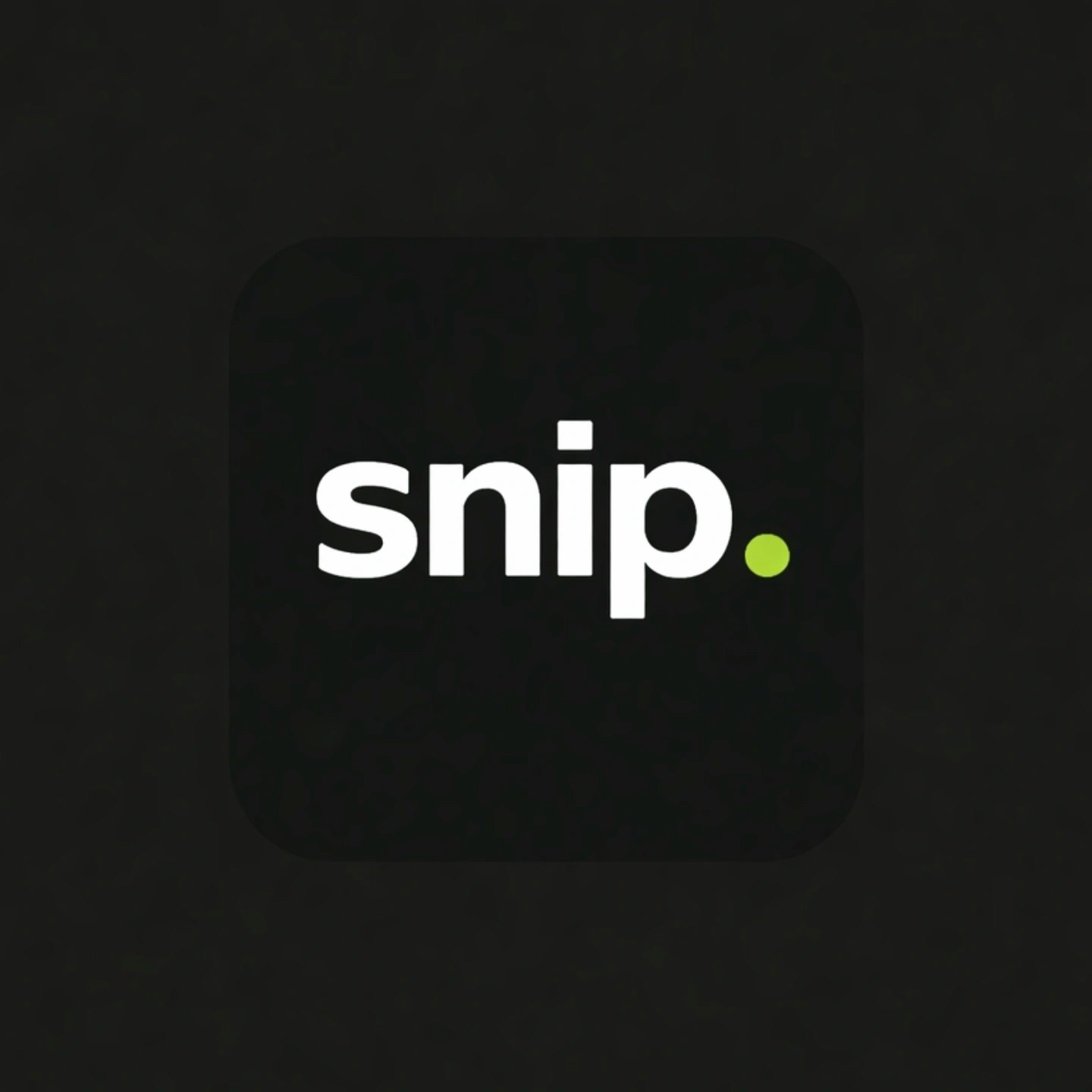 ProductHunt profile picture for @snip