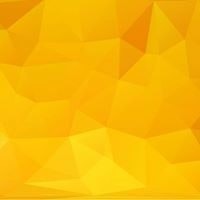 Josue Martinez Zelaya