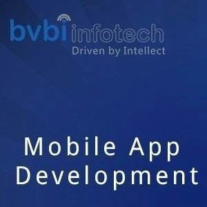 BVBI Infotech