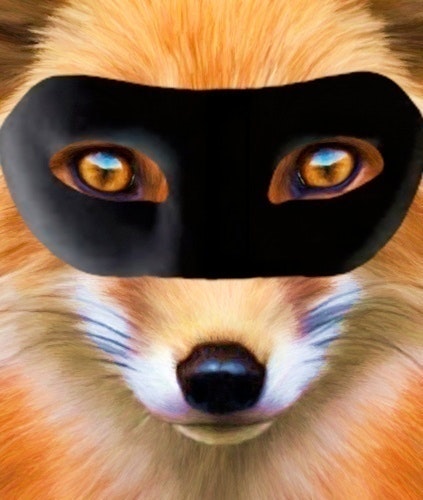 Le renard Masqué