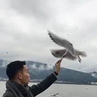 Panyaphon  Phiphatkhunarnon