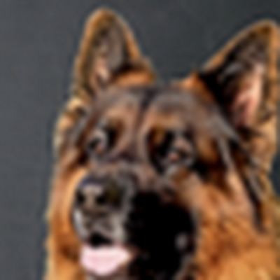 coachcanin16 coachcanin16