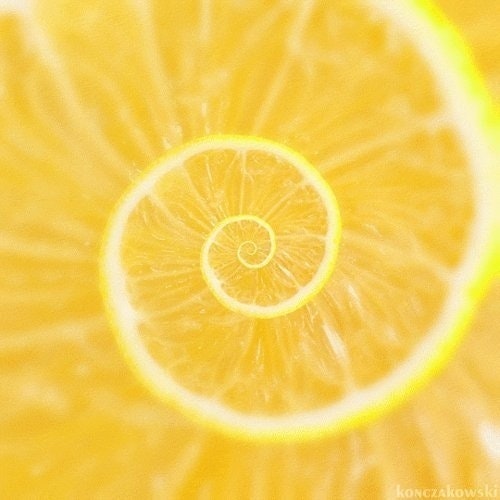 Crypto Lemon