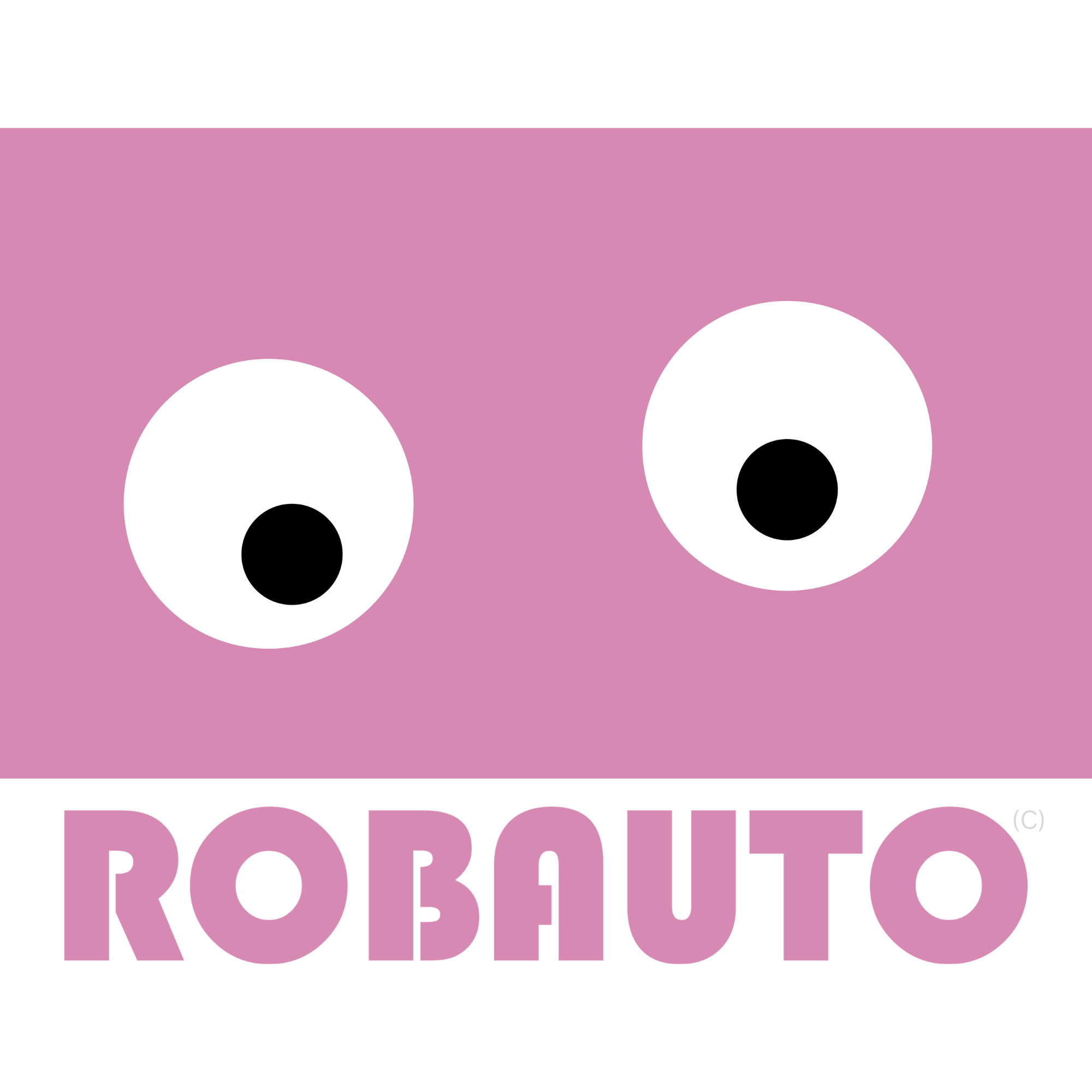 Robauto Team