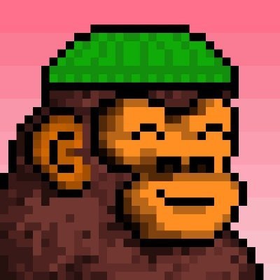 robt100x