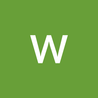 wenpeng ai
