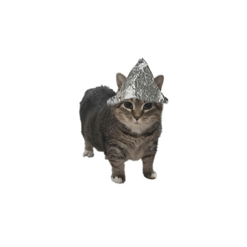 Tinfoil Cat