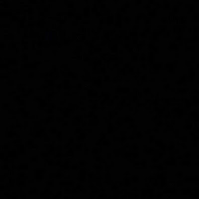 паша недельчев