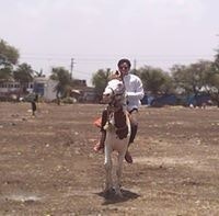 Mohammed Mehdi Naqvi