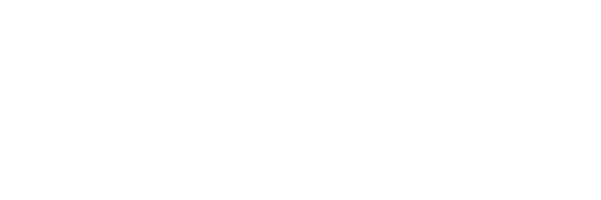 66fskin