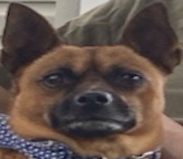 Sam Furr