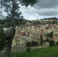 Workouts & Fitness Gear shop