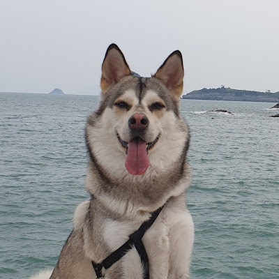쏭쏭이빈이엄마