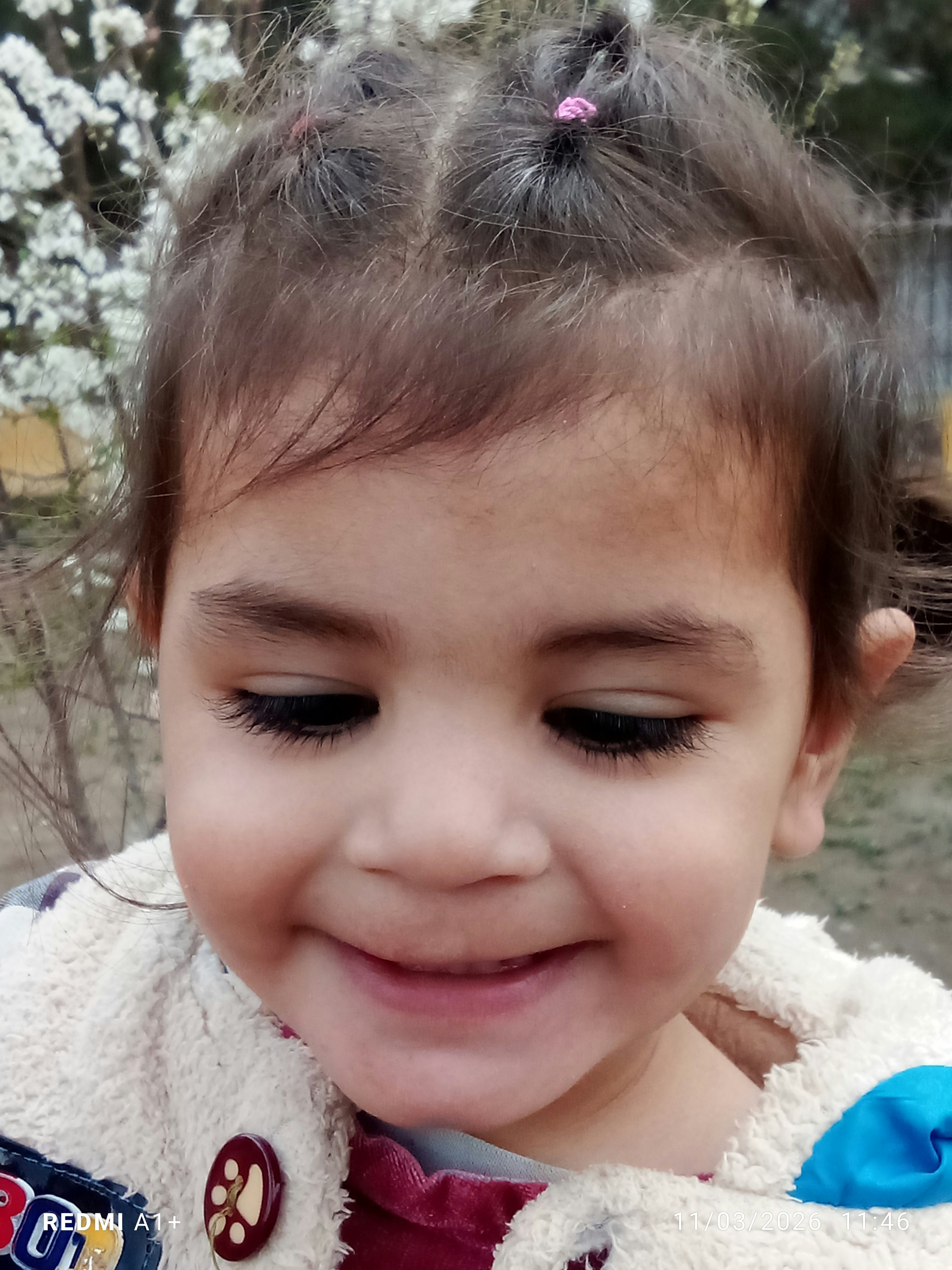 حمیدالله آبراهیمی آبراهیمی