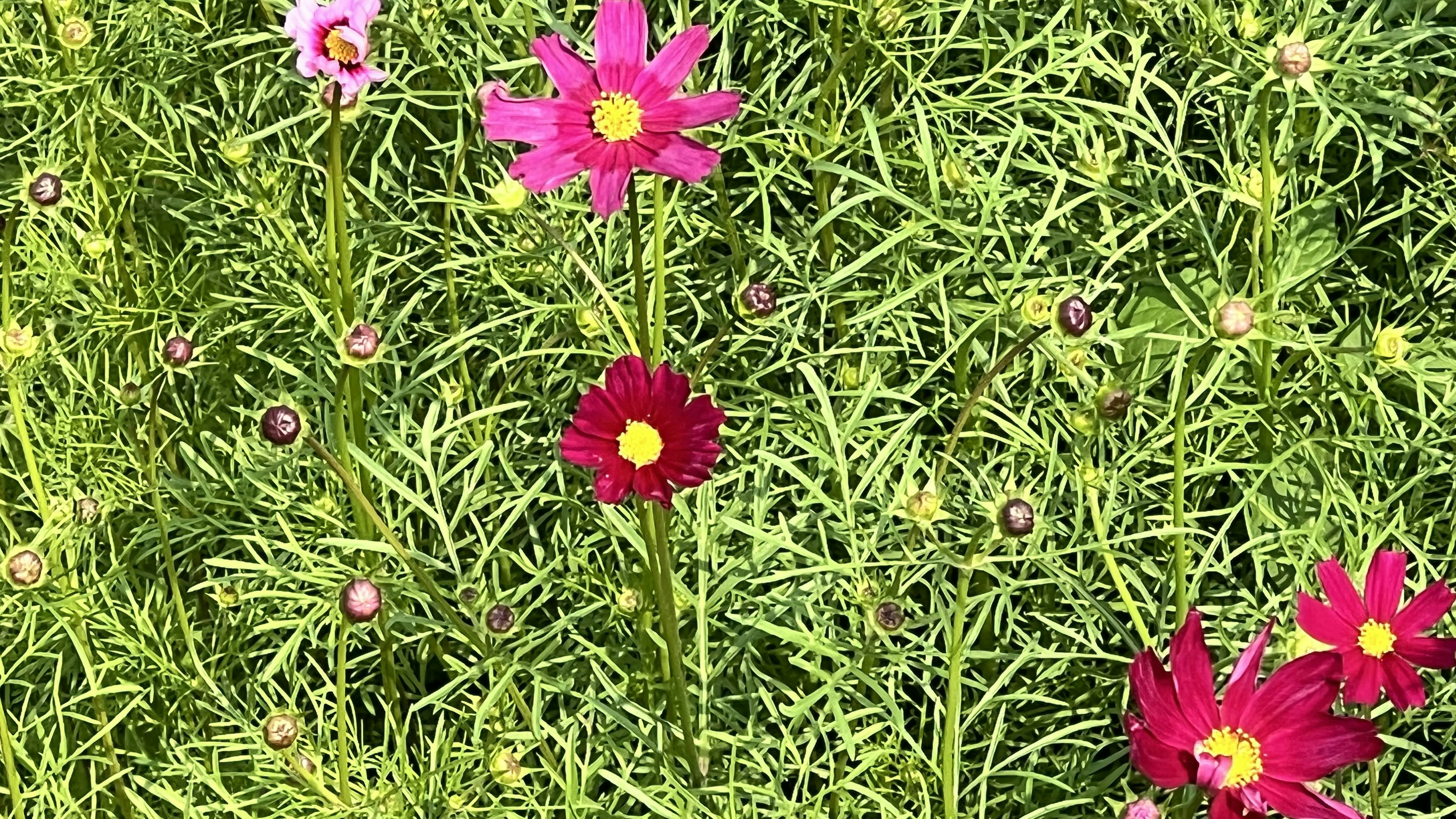 ArchitectureThinking