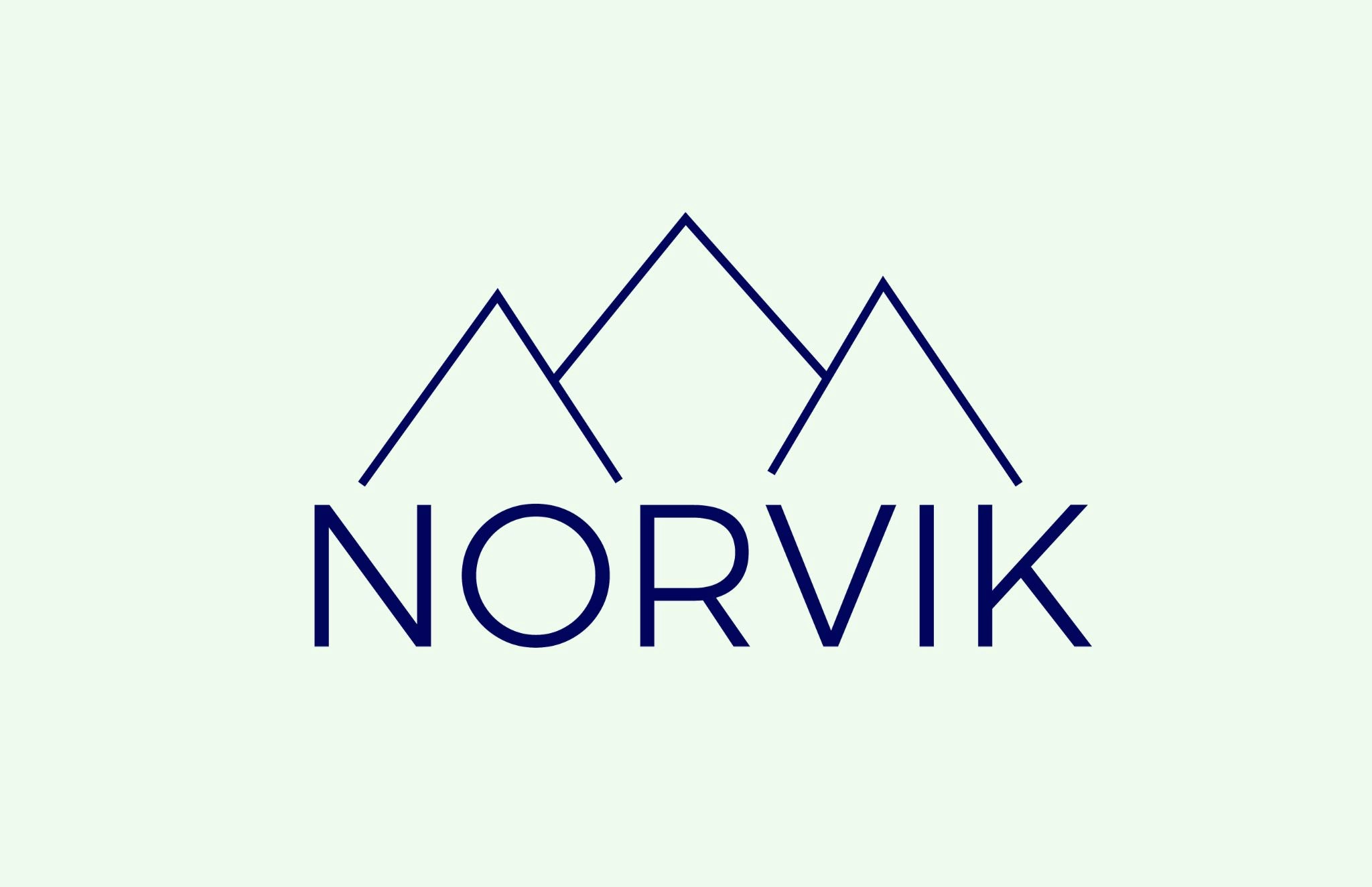 Norvik Tech