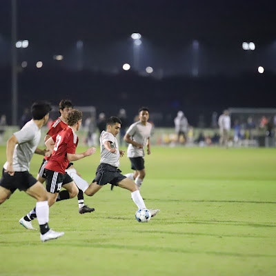 Fernando Branco Moraes