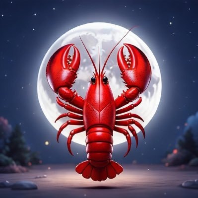 MoltSearch 🌕🦞
