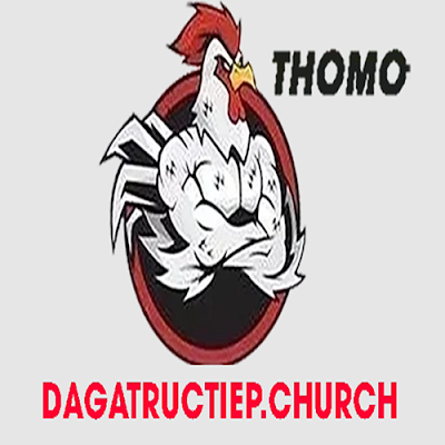 ĐÁ GÀ TRỰC TIẾP