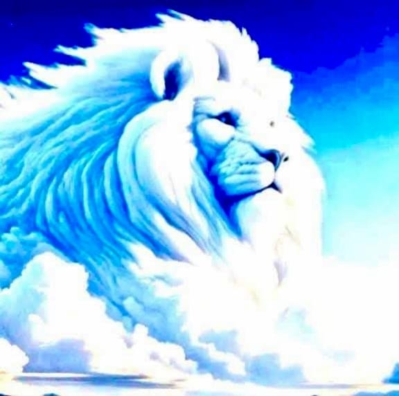 محمد ابو كرم