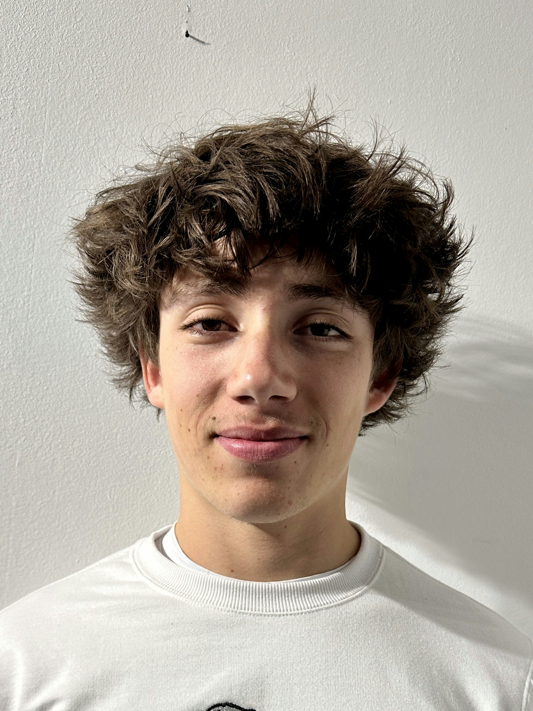 Arthur Renard