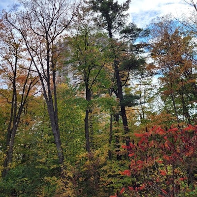 Ananth Bhushan Prasad