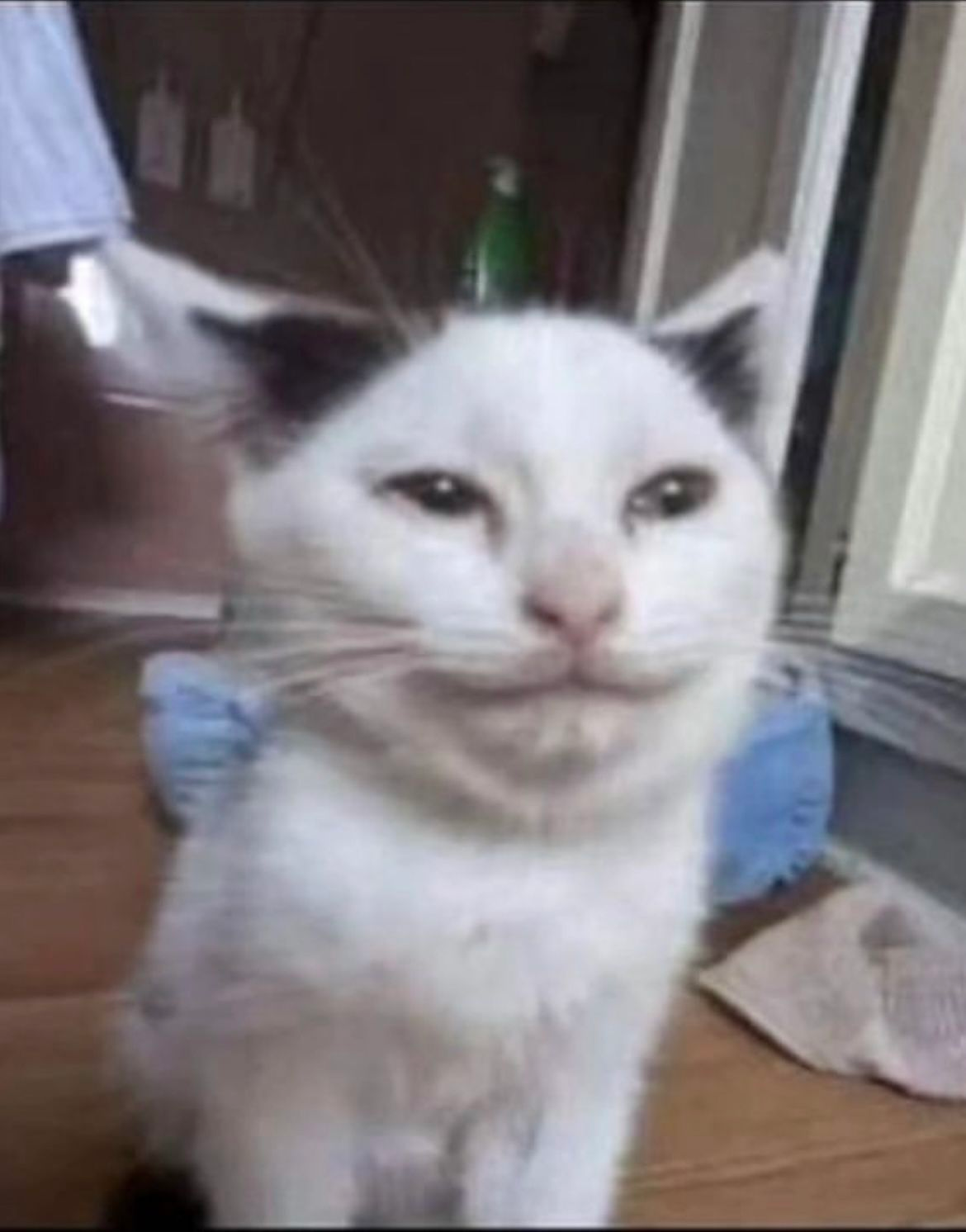 Neracu