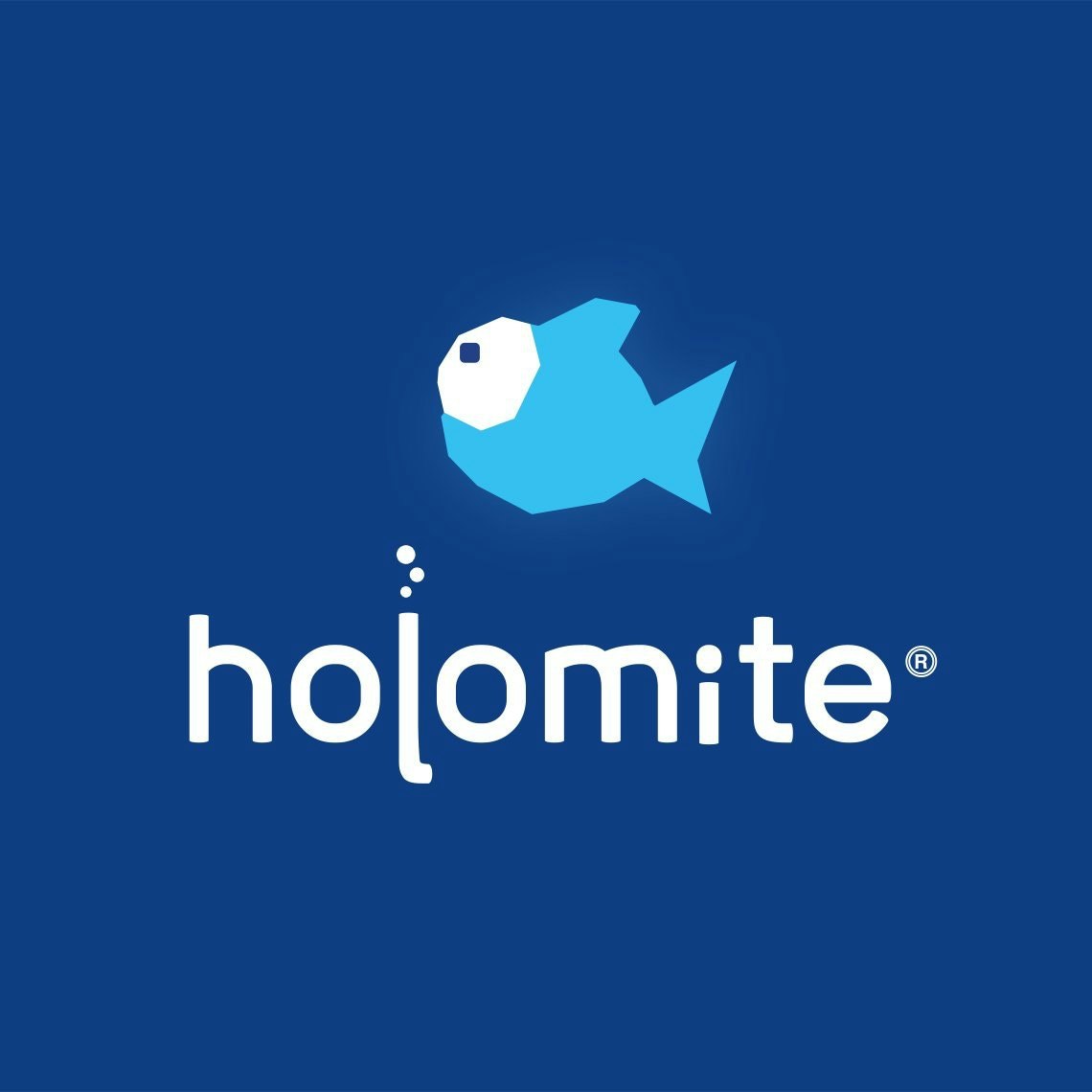 Holomite